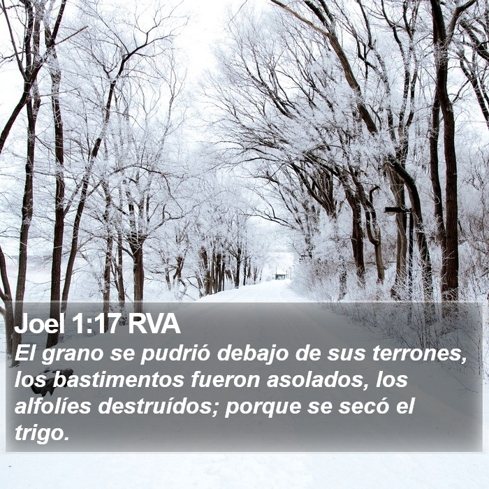 Joel 1:17 RVA Bible Study