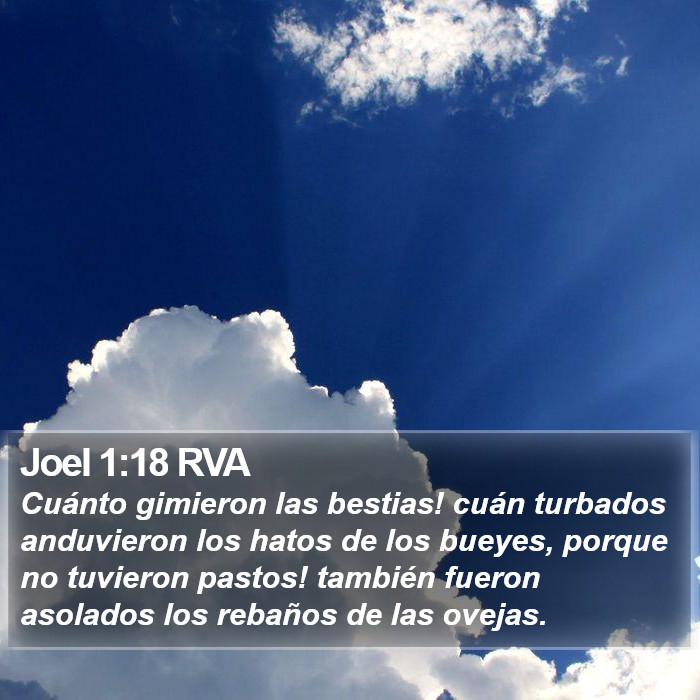 Joel 1:18 RVA Bible Study