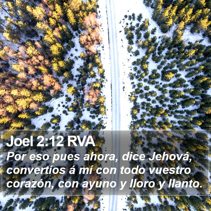 Joel 2:12 RVA Bible Study