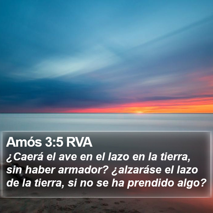 Amós 3:5 RVA Bible Study