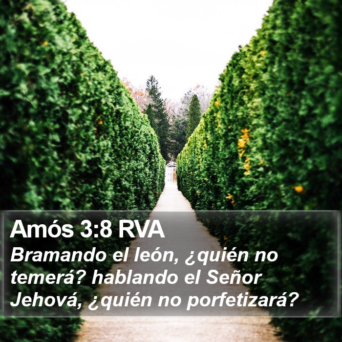 Amós 3:8 RVA Bible Study