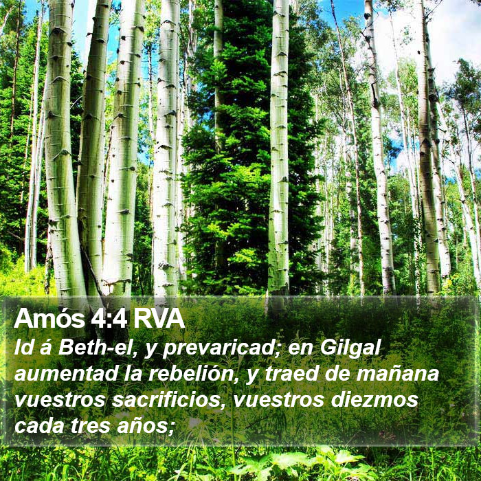 Amós 4:4 RVA Bible Study