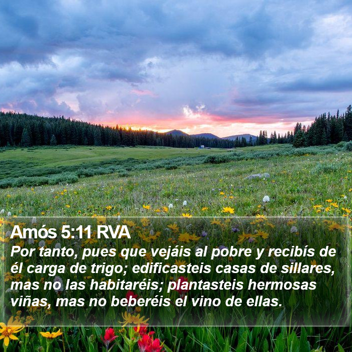 Amós 5:11 RVA Bible Study