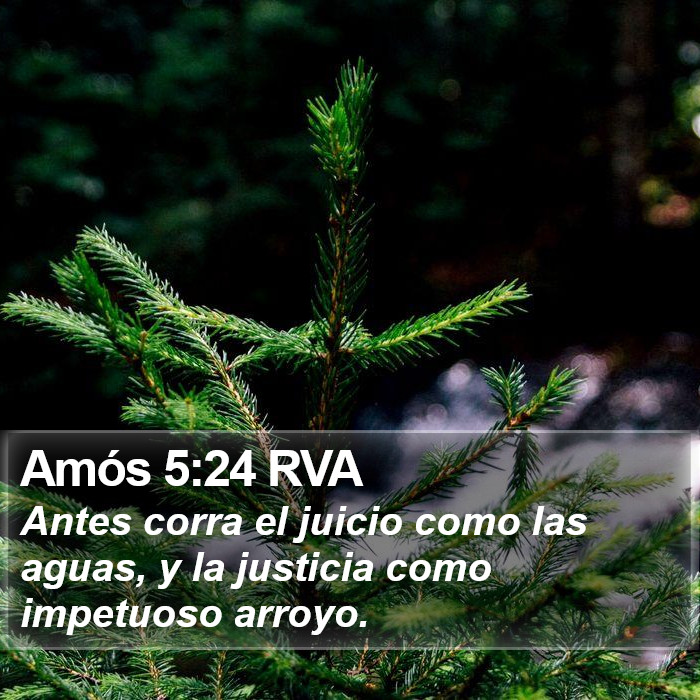 Amós 5:24 RVA Bible Study