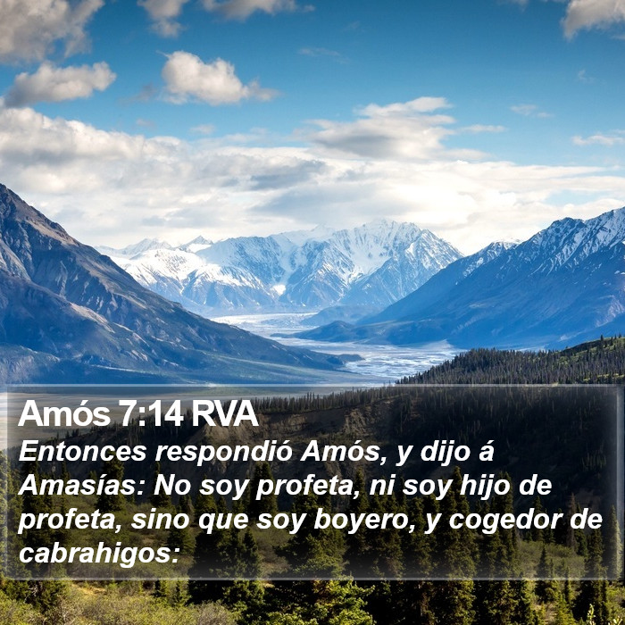 Amós 7:14 RVA Bible Study