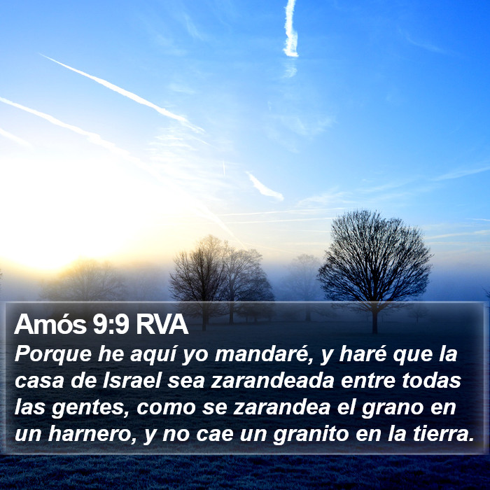 Amós 9:9 RVA Bible Study