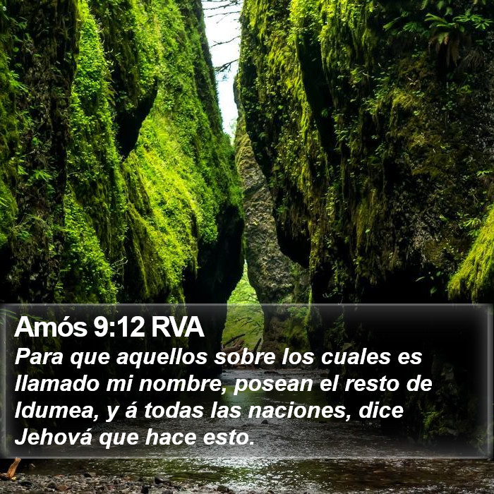 Amós 9:12 RVA Bible Study