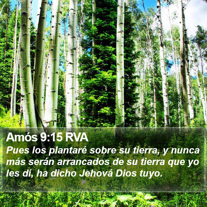 Amós 9:15 RVA Bible Study