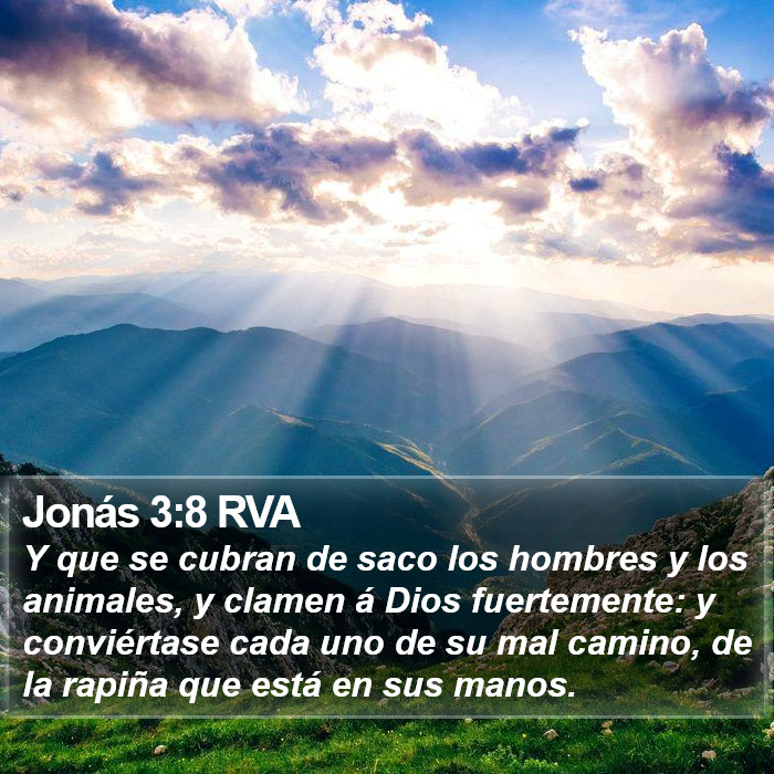 Jonás 3:8 RVA Bible Study