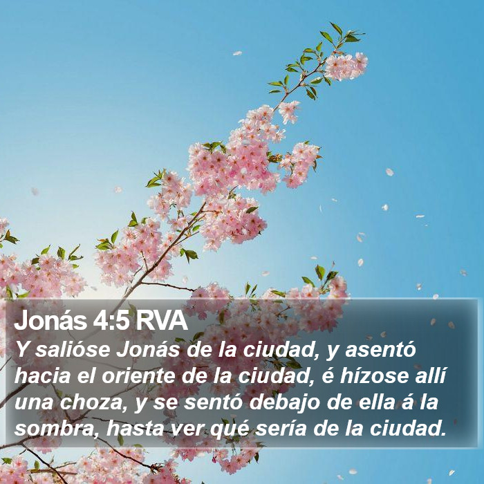 Jonás 4:5 RVA Bible Study