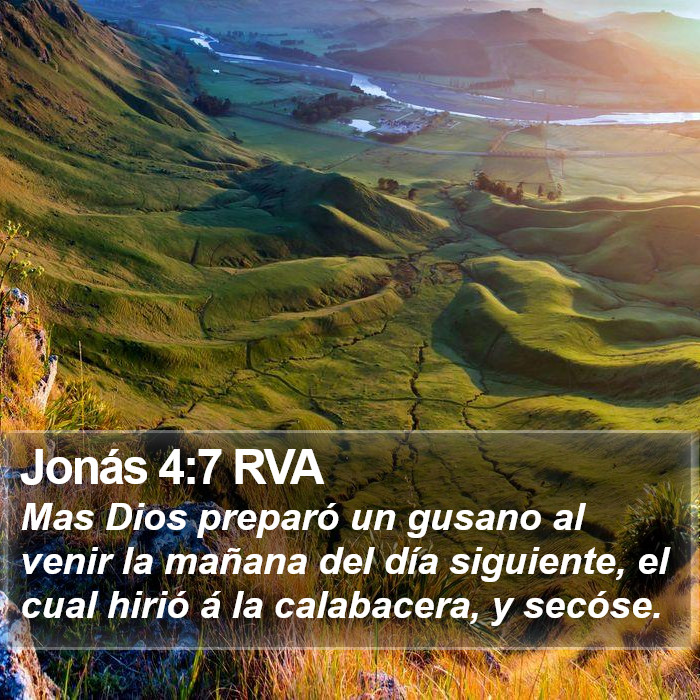 Jonás 4:7 RVA Bible Study