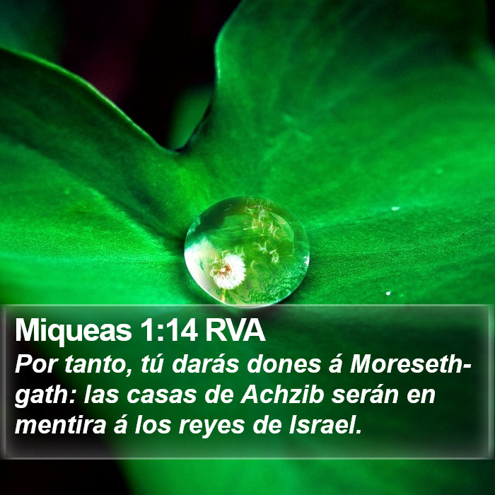 Miqueas 1:14 RVA Bible Study