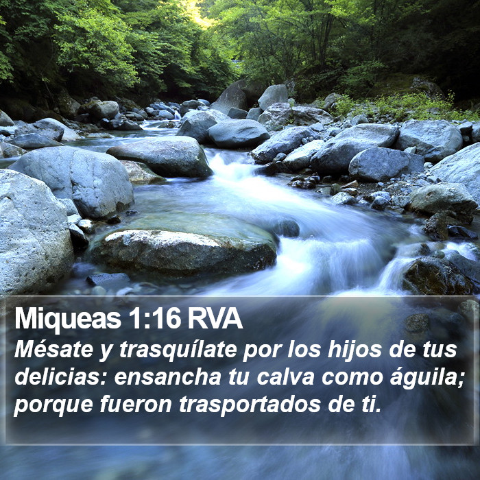 Miqueas 1:16 RVA Bible Study