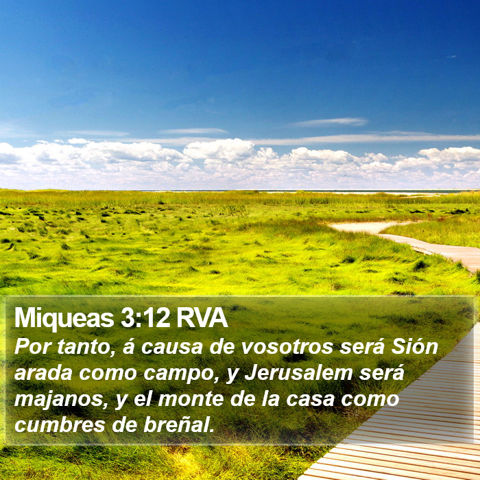 Miqueas 3:12 RVA Bible Study