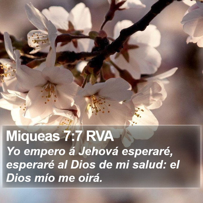 Miqueas 7:7 RVA Bible Study