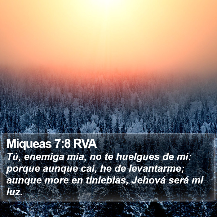 Miqueas 7:8 RVA Bible Study