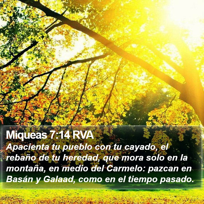 Miqueas 7:14 RVA Bible Study