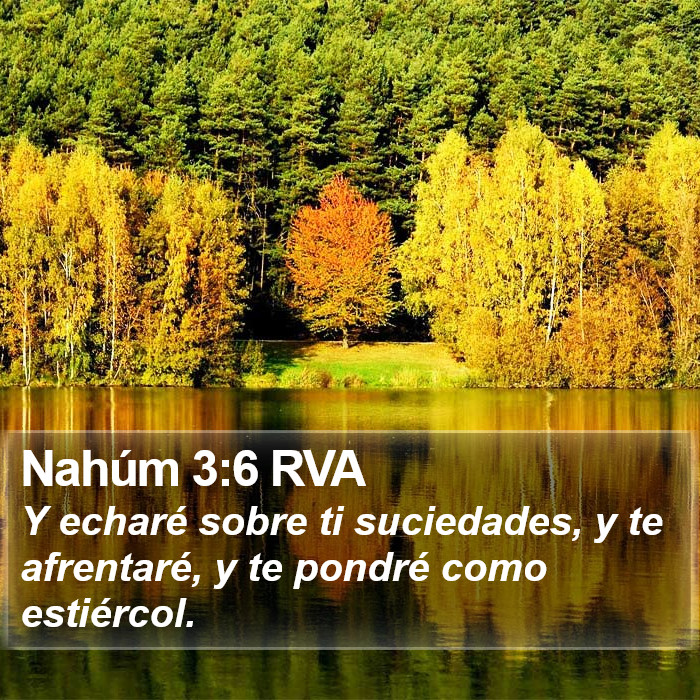 Nahúm 3:6 RVA Bible Study