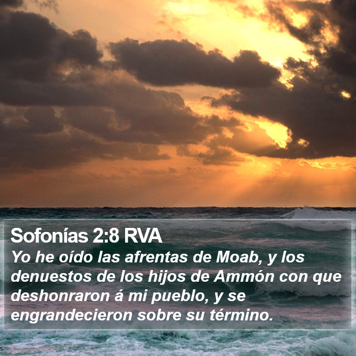 Sofonías 2:8 RVA Bible Study