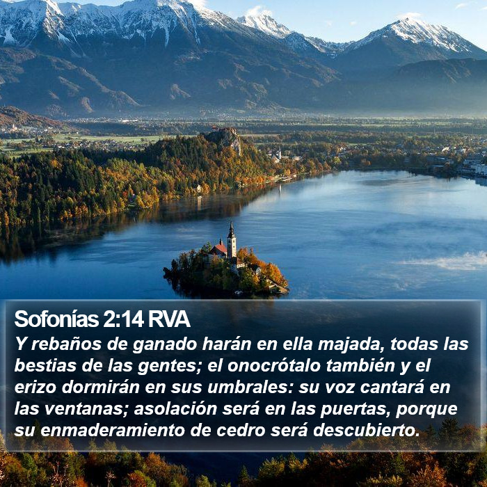 Sofonías 2:14 RVA Bible Study