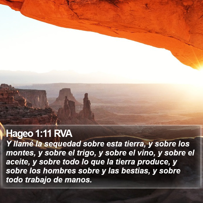 Hageo 1:11 RVA Bible Study