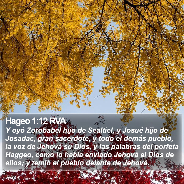 Hageo 1:12 RVA Bible Study