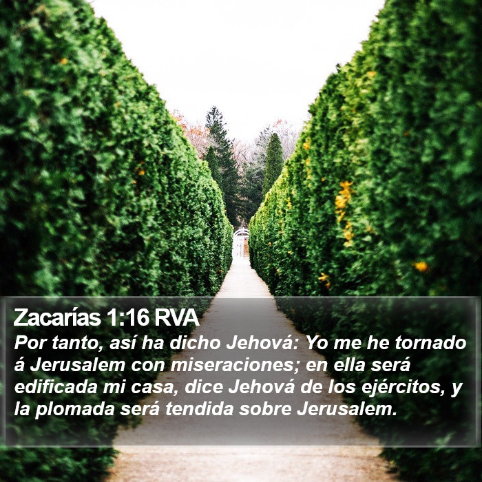 Zacarías 1:16 RVA Bible Study