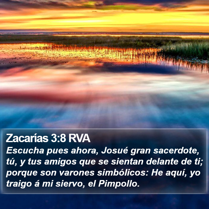 Zacarías 3:8 RVA Bible Study