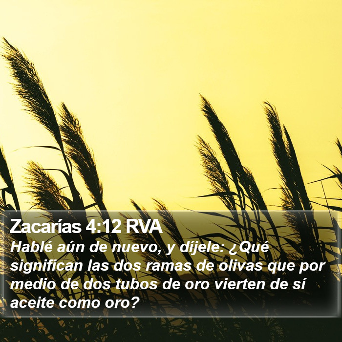 Zacarías 4:12 RVA Bible Study