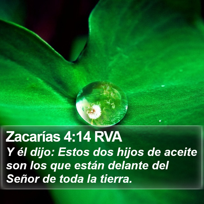 Zacarías 4:14 RVA Bible Study