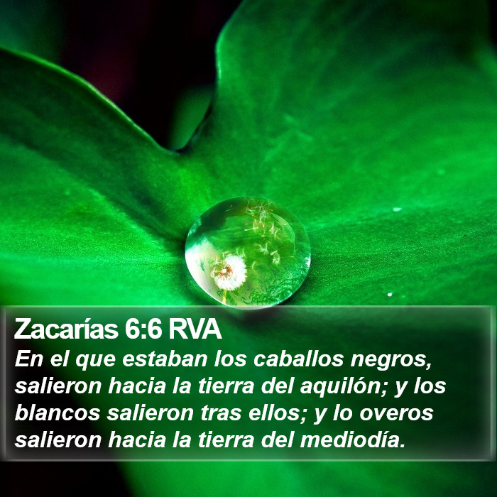 Zacarías 6:6 RVA Bible Study