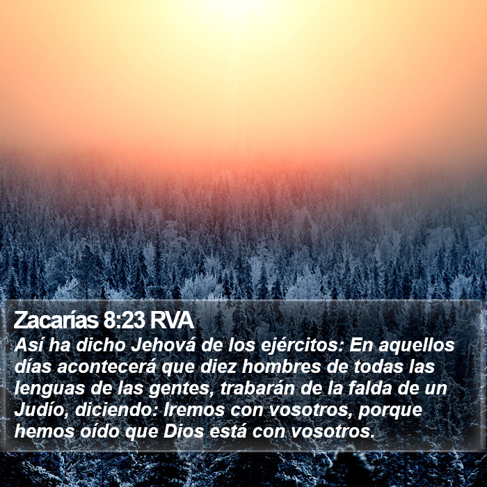 Zacarías 8:23 RVA Bible Study