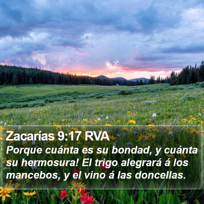 Zacarías 9:17 RVA Bible Study