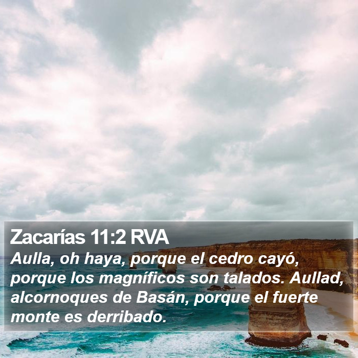 Zacarías 11:2 RVA Bible Study