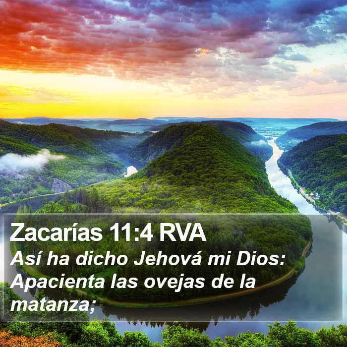 Zacarías 11:4 RVA Bible Study