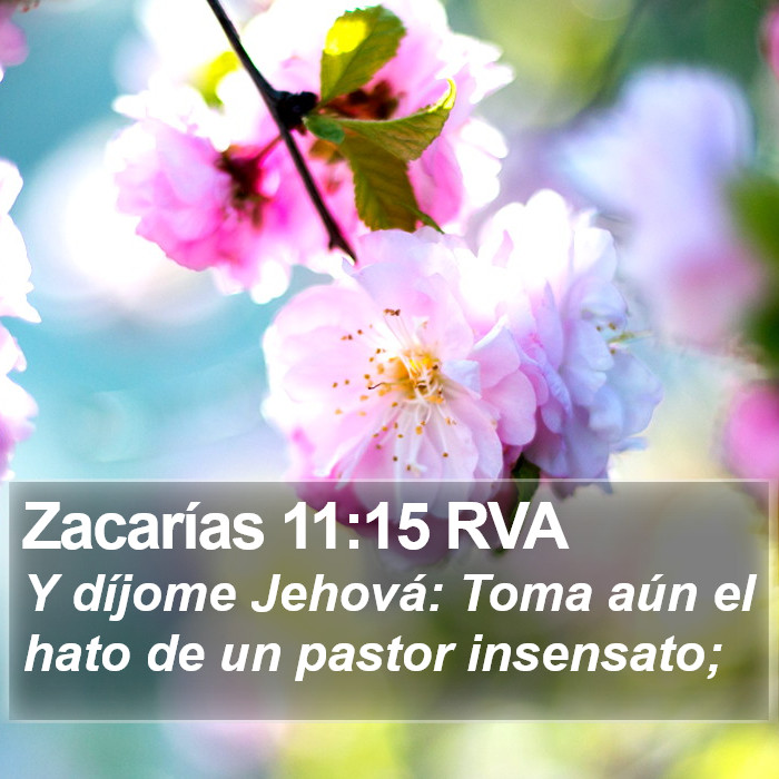 Zacarías 11:15 RVA Bible Study