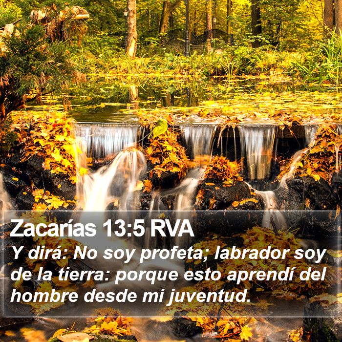 Zacarías 13:5 RVA Bible Study