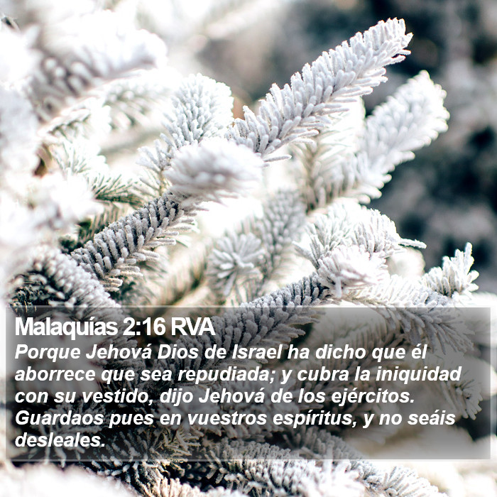 Malaquías 2:16 RVA Bible Study