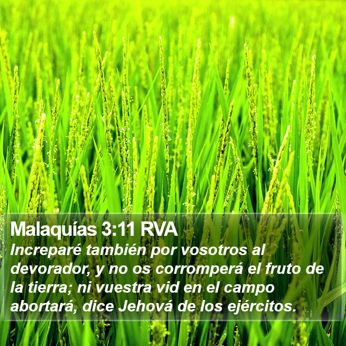 Malaquías 3:11 RVA Bible Study