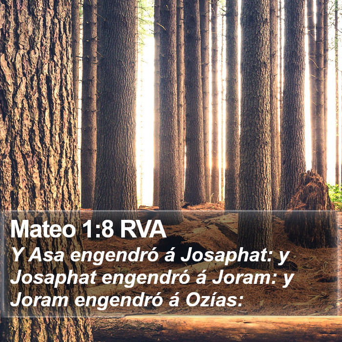 Mateo 1:8 RVA Bible Study