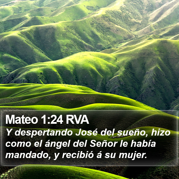 Mateo 1:24 RVA Bible Study