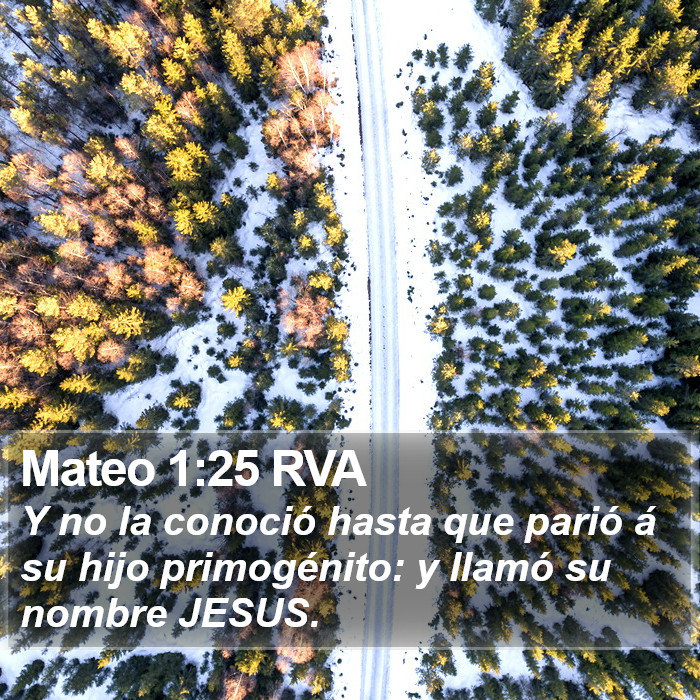 Mateo 1:25 RVA Bible Study