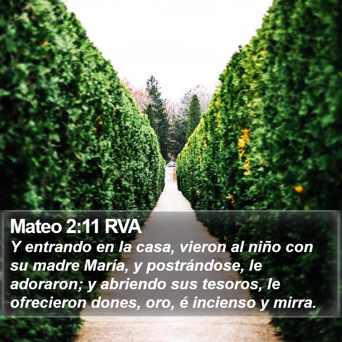 Mateo 2:11 RVA Bible Study