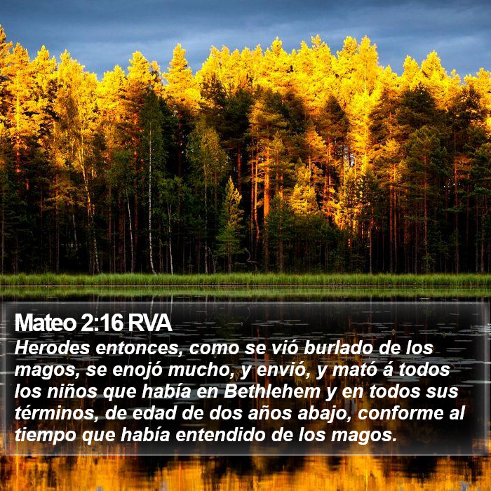 Mateo 2:16 RVA Bible Study