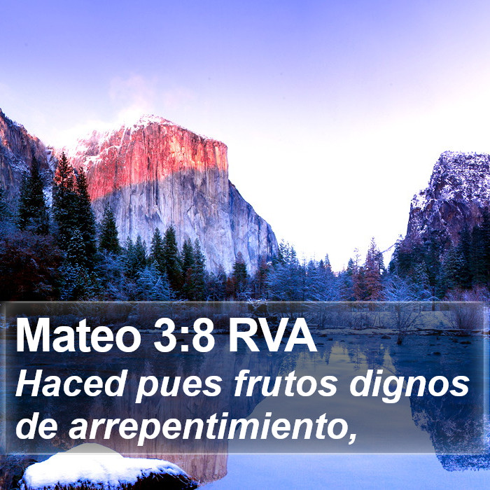 Mateo 3:8 RVA Bible Study