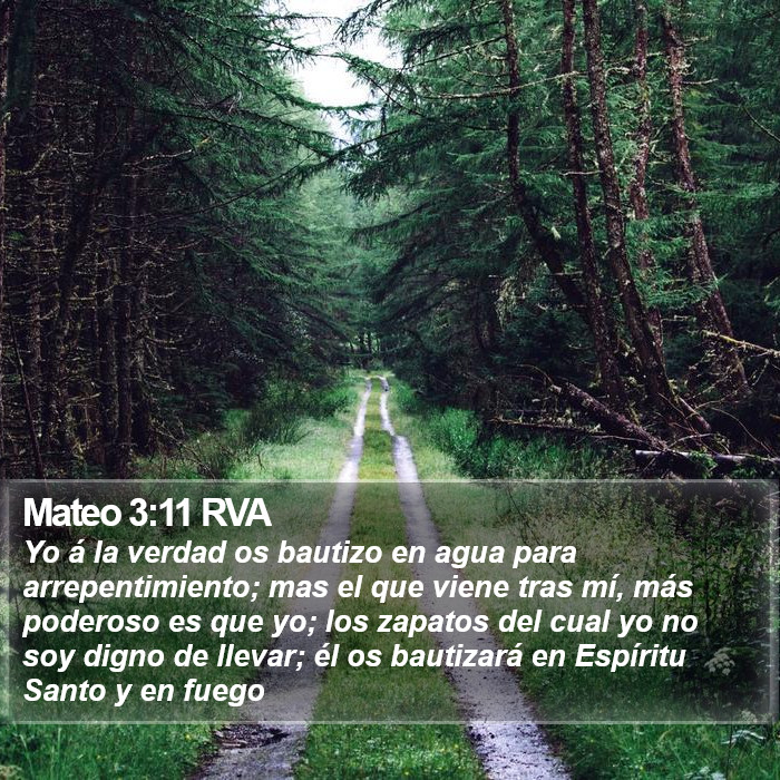 Mateo 3:11 RVA Bible Study