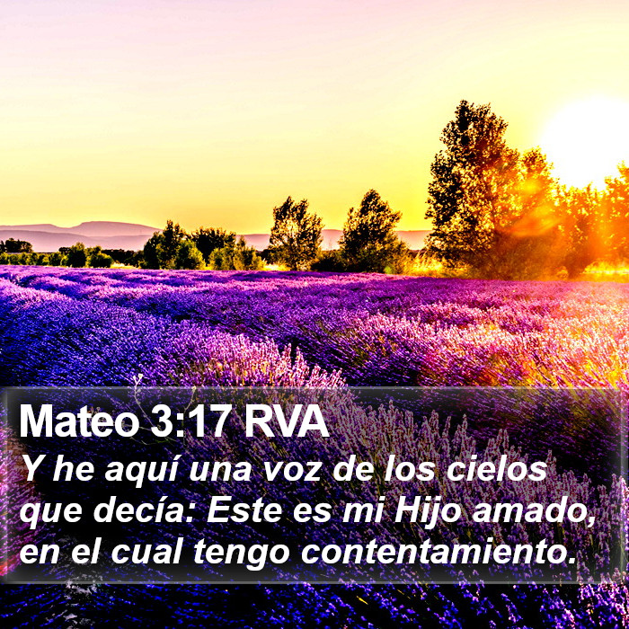 Mateo 3:17 RVA Bible Study