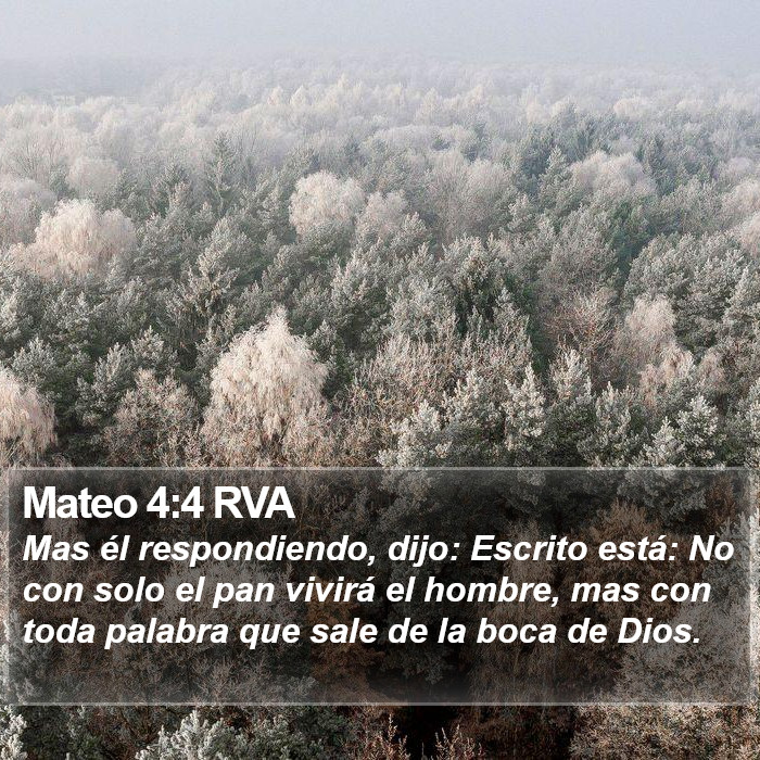 Mateo 4:4 RVA Bible Study