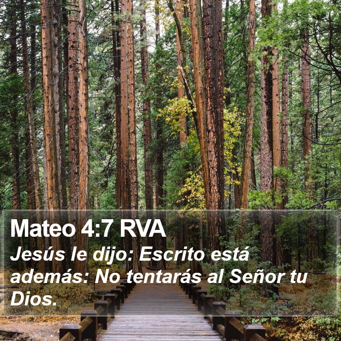 Mateo 4:7 RVA Bible Study