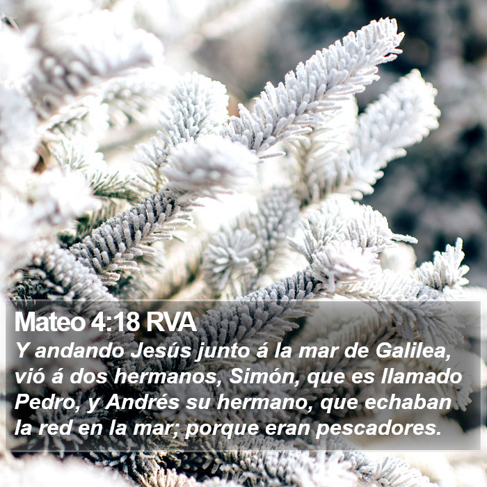 Mateo 4:18 RVA Bible Study